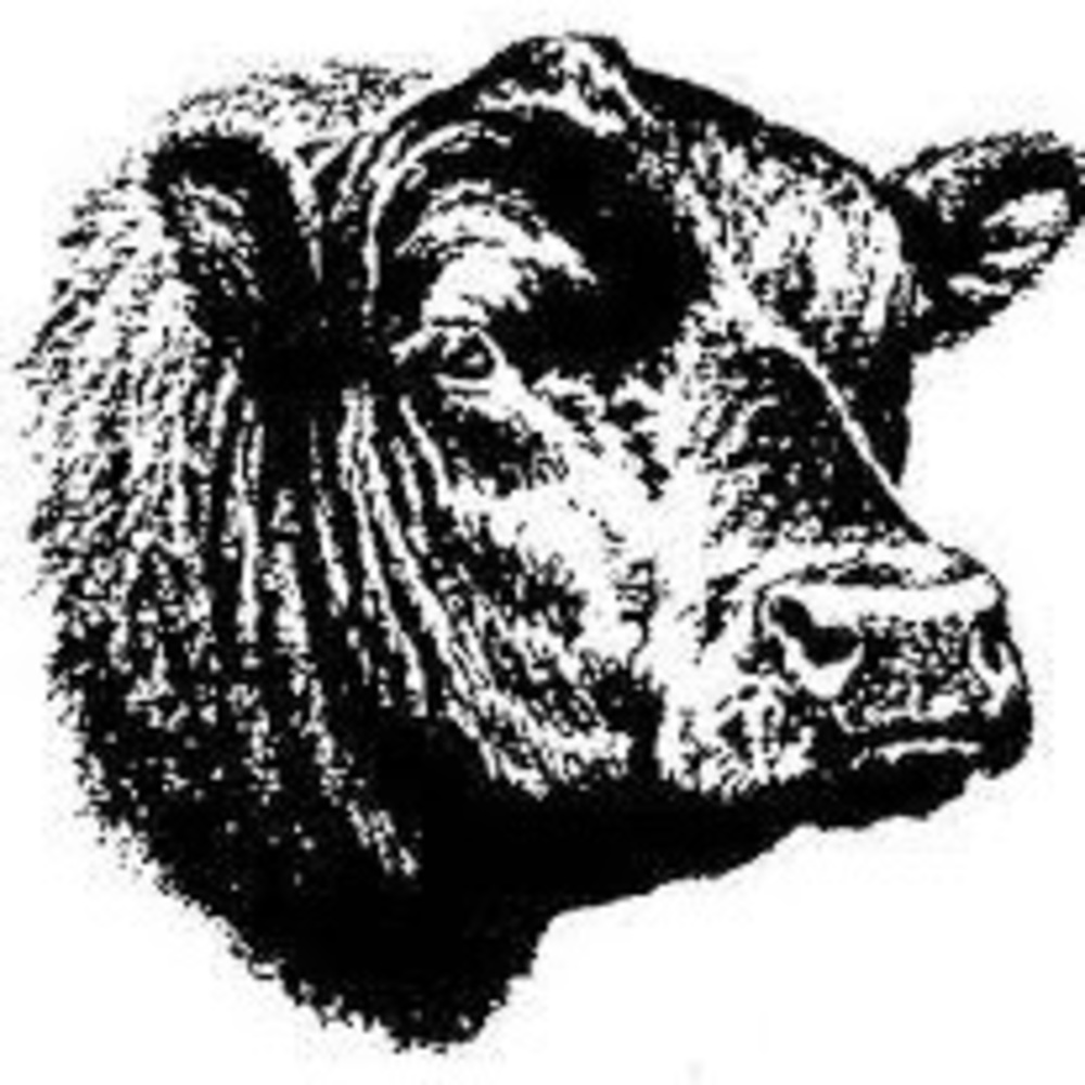 Meet your Posher, Tamara